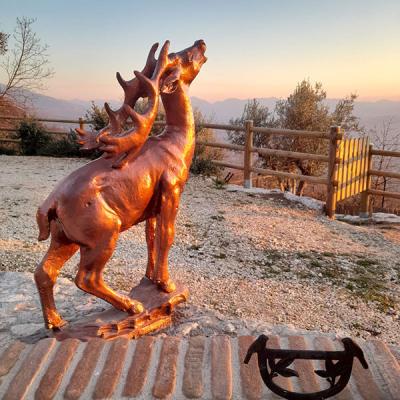 Giardino Vista Dimora Del Capriolo